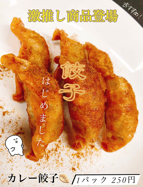 カレー餃子
